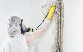 Best Air Quality Testing for Mold Spores  in Swanton, OH